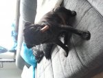 20130825_151120.jpg