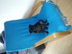 20130827_171952.jpg