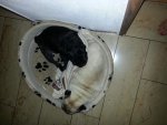 20130828_222932.jpg