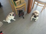 20130829_121052.jpg