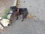 20130902_134150.jpg