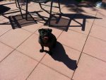 20130905_125459.jpg