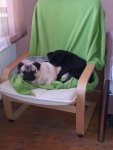 20130905_132202.jpg