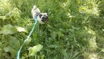 2013-09-06-1044.jpg