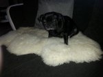 20130917_191049.jpg