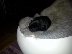 20130919_185739.jpg