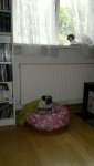 2013-09-11-1075.jpg