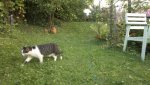 2013-09-28-1175.jpg
