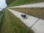 20131006_101120.jpg