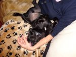 DSC00019 72.jpg
