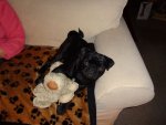 DSC00016 72.jpg
