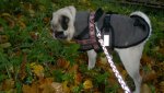 2013-10-20-1241.jpg