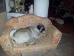 20131123_180454.jpg