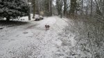 2013-12-06-1432.jpg