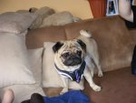DSCF3154.jpg