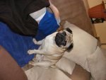 DSCF3158.jpg