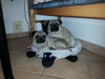 20140127_074401.jpg