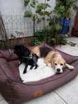 20130907_185929.jpg