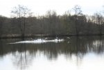 IMG_4196.jpg