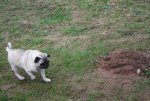IMG_4283.jpg