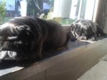 20130915_101903.jpg