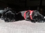 20131020_141433.jpg