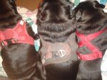 20131025_220818.jpg