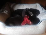 20140228_122248.jpg