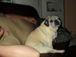 DSC02311.jpg