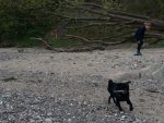 20140504_165134.jpg