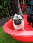 20140608_102716.jpg