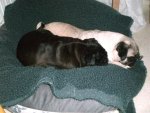 Marlene und Lilly.jpg
