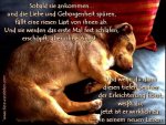 schlaf5.jpg