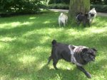 Lilly im Vordergrund.jpg Lilly im Vordergrund.jpg