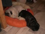 Platz ist in der kleinesten Hütte.jpg Platz ist in der kleinesten Hütte.jpg