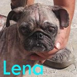 V-Lena.jpg