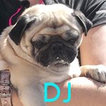 V-DJ.jpg