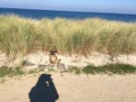 IMG_0232.jpg