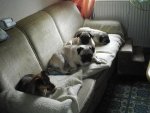 PIC00840.jpg