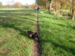 lÃ¼dinghausen 9.11.14 012.jpg