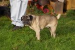 DSC01862.jpg