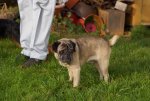 DSC01864.jpg