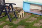 DSC01882.jpg
