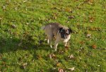 DSC01889.jpg