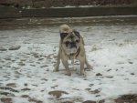 10881587_566964463434943_7690651095468576302_n_im_Schnee.jpg