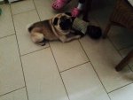 IMG-20150125-WA0004.jpg IMG-20150125-WA0004.jpg