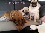 mÃ¼cke und lucka1.jpg