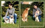 garten drei collage.jpg