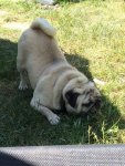 IMG_0642.jpg