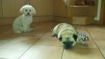 IMG-20150628-WA0000.jpg